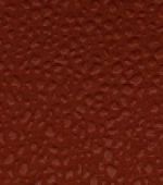 cedar red