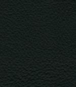 dark slate grey