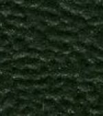 dark ivy greenmetallic