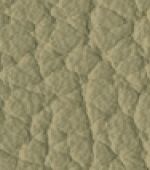 beige (A351, A951, AA51, 9351, 9951, 9A51)