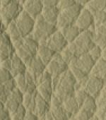 light sand (8G5A, 895A, 835A, 8A5A, 885A)