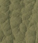sisal